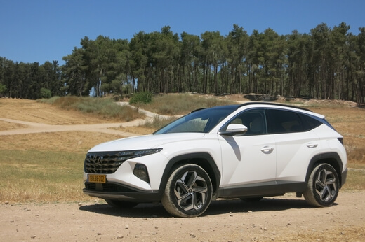 מבחן ג'יפונים